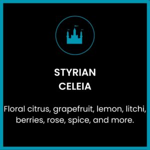 Styrian Celeia