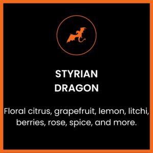 Styrian Dragon