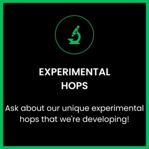 Cuvee 2021 Experimental Hop Blend