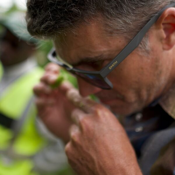 person smelling a hop cone