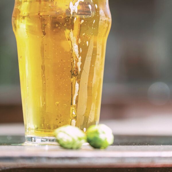 poured beer with hops